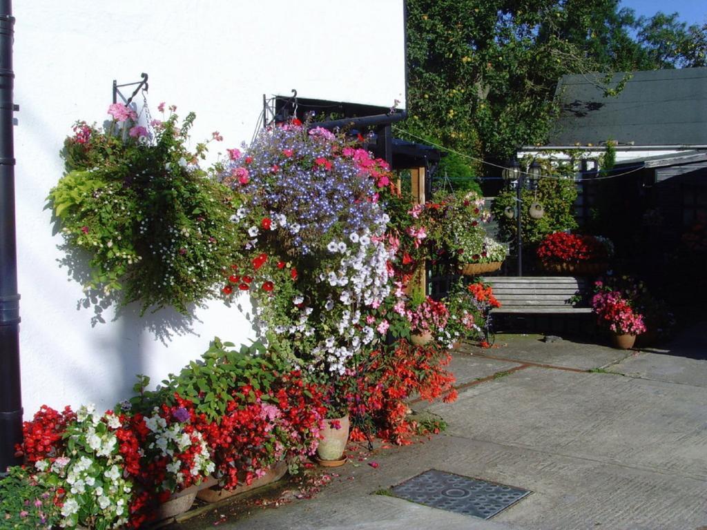 Taphall Bed And Breakfast Takeley Zewnętrze zdjęcie